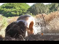 Suculento puta com grandes Mamas foto de bucrta desgastado